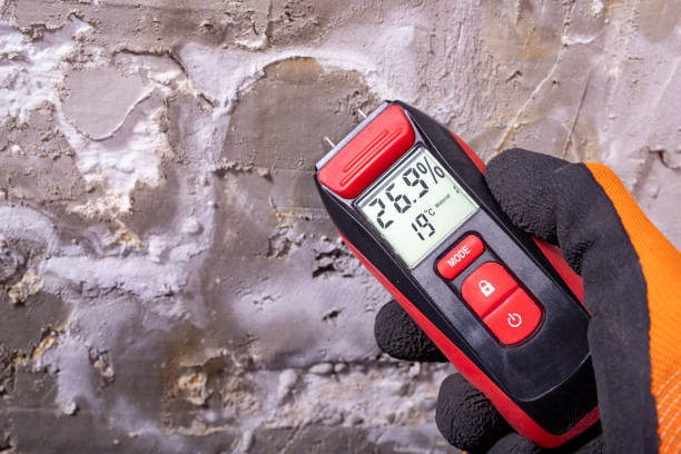 Best Crawl Space Mold Remediation in Sylvania, OH