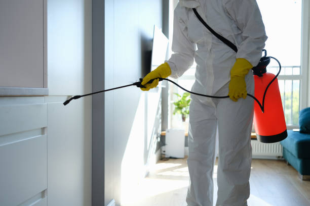 Best HVAC Mold Remediation in Sylvania, OH